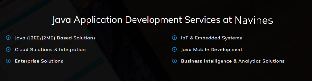 Java-development-services-Navines