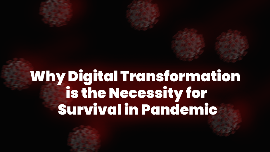 Why Digital Transform